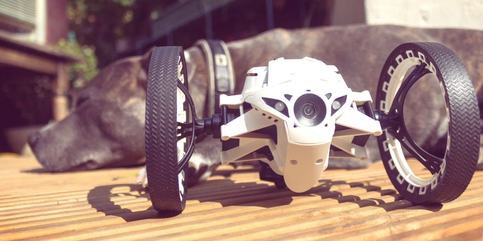 jumping parrot drone jumping parrot drone