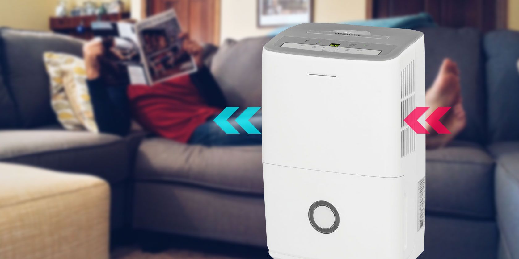 What Does a Dehumidifier Do? The Benefits and Why You Need One