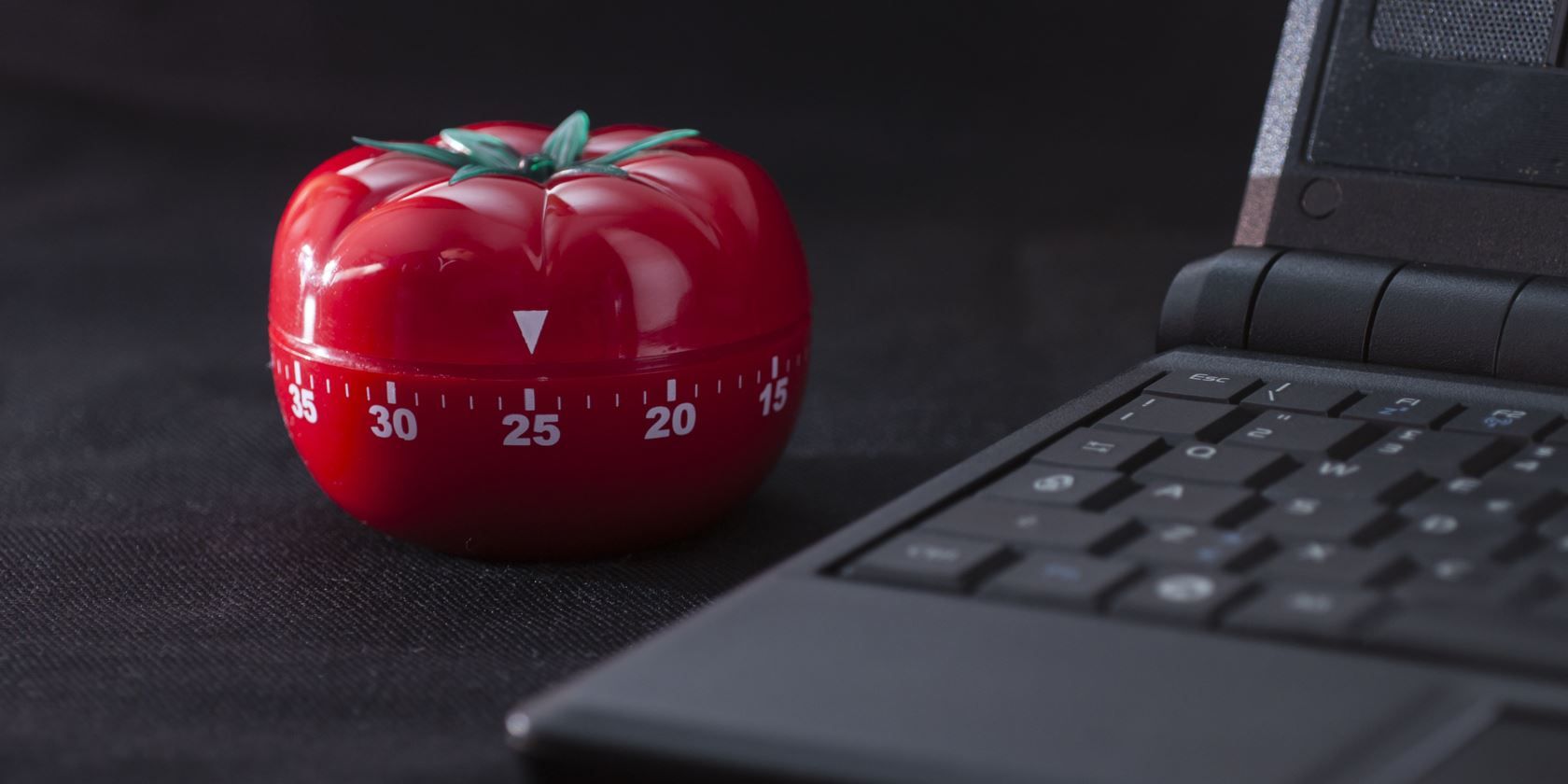 tomato pompadour timer