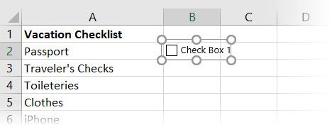 Excel Inserting - Come creare una lista di controllo in Microsoft Excel