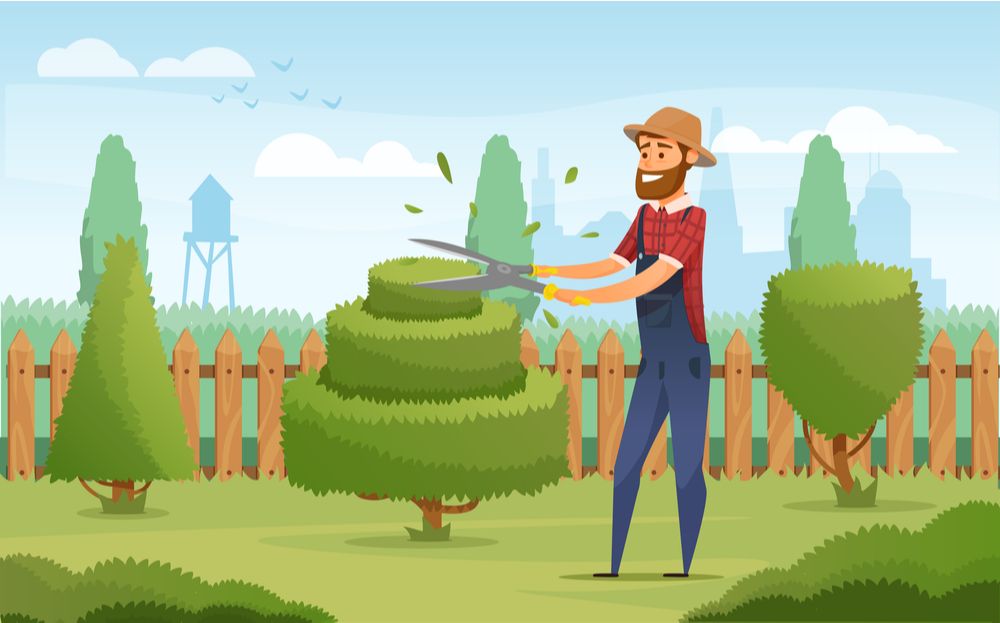 Gardening - 12 migliori siti web “How to”