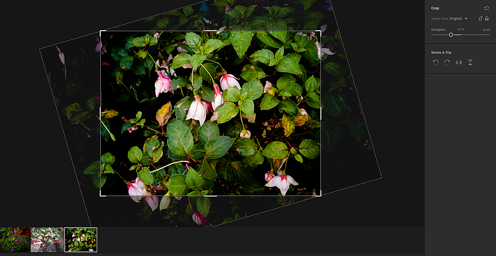 straightening an image with lightroom - Che cos’è Adobe Lightroom e a cosa serve?